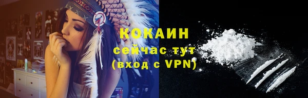 мдпв Касимов