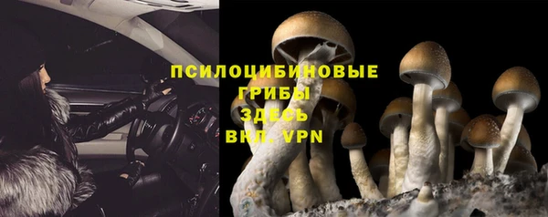 винт Каменск-Шахтинский