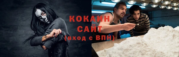 сатива Карпинск