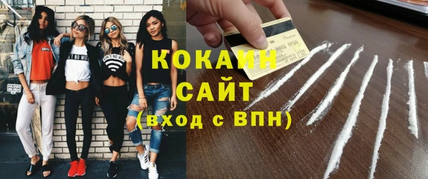 сатива Карпинск