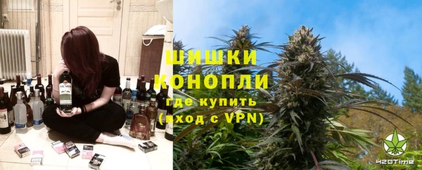 сатива Карпинск