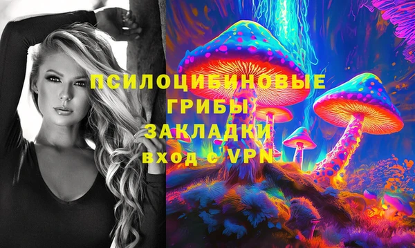 мдпв Касимов