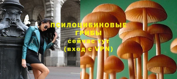мдпв Касимов