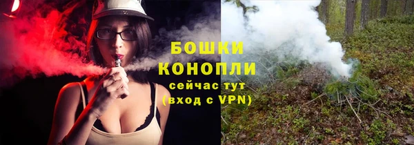 сатива Карпинск