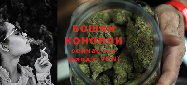 мдпв Касимов