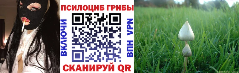 OMG как войти  Княгинино  Галлюциногенные грибы Psilocybine cubensis 